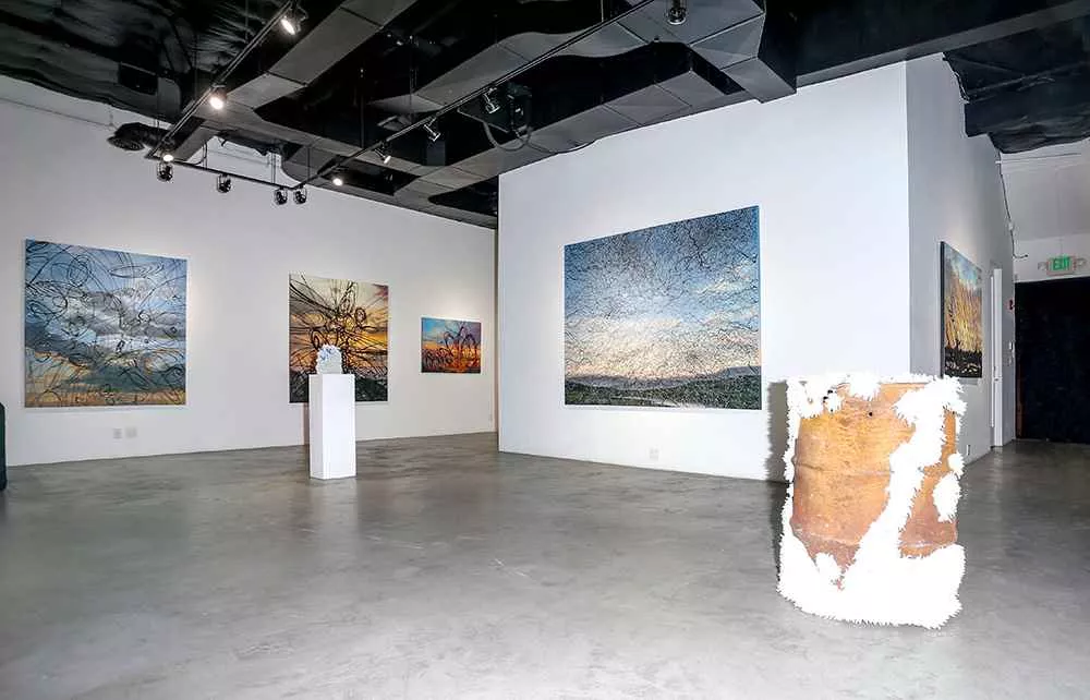 Tania Dibbs work at her Dere Gallery show in Los Angeles