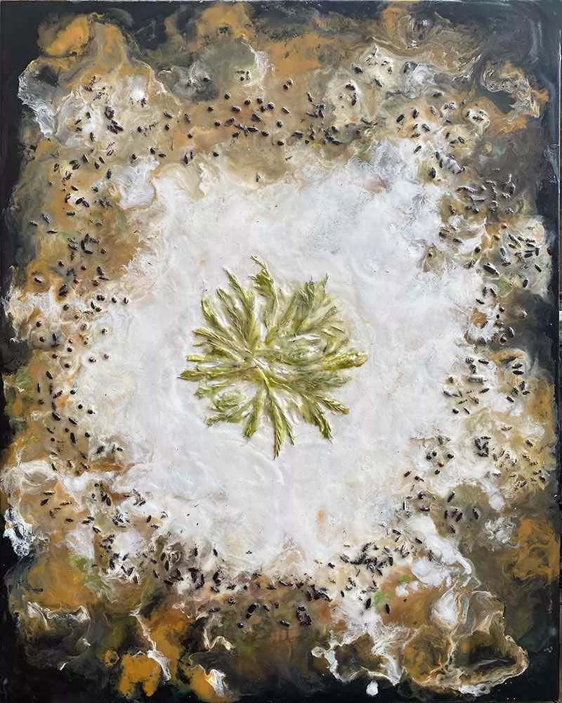 Bioshift, 30 in x 24 in, encaustic & bugs on panel by Tania Dibbs