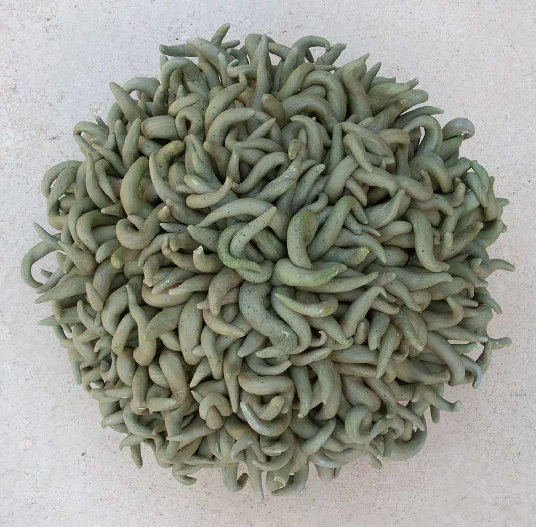 Round Colonies, resin sculpture by Tania Dibbs