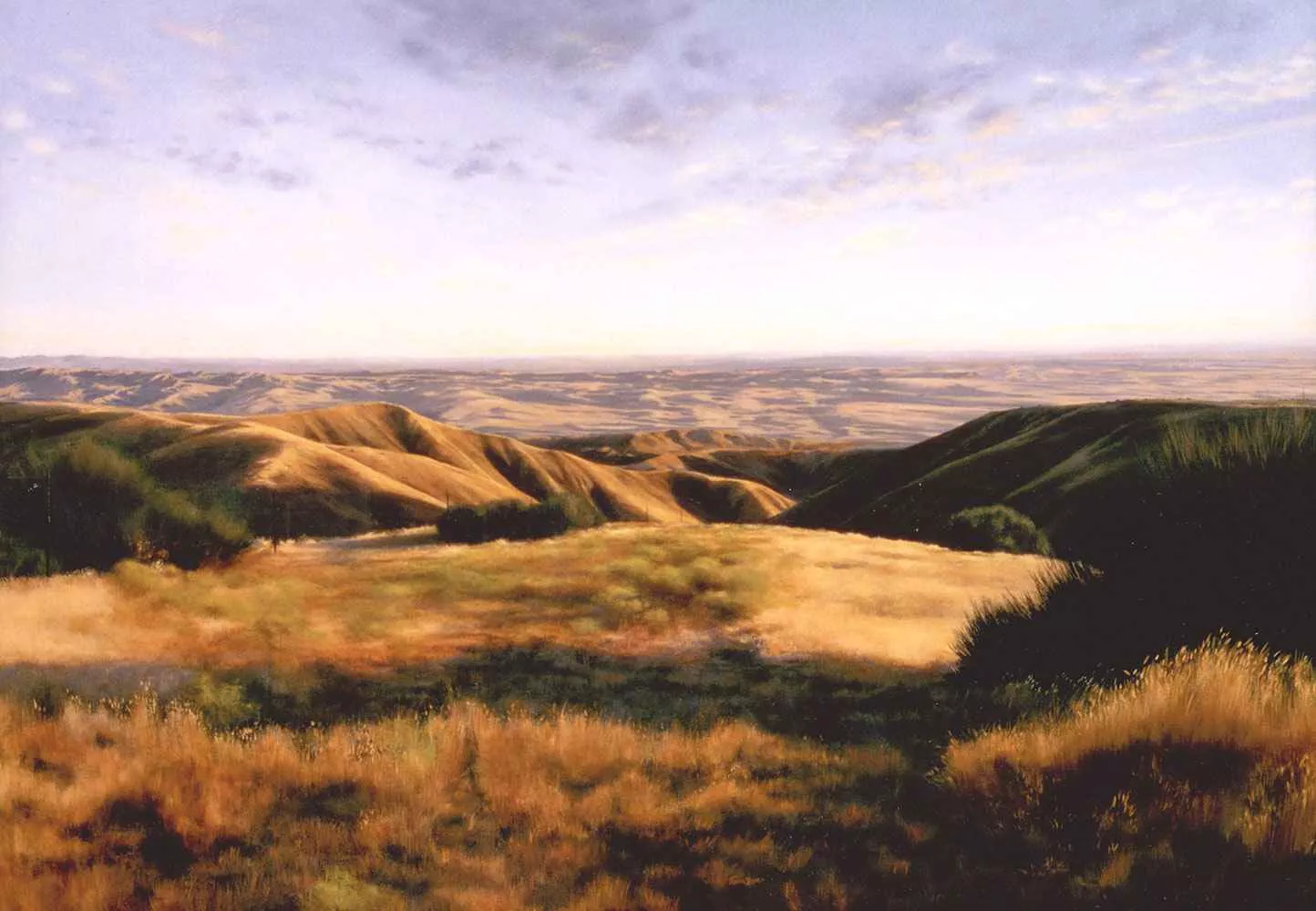 Firebaugh, 56″ x 80″, oil by Tania Dibbs