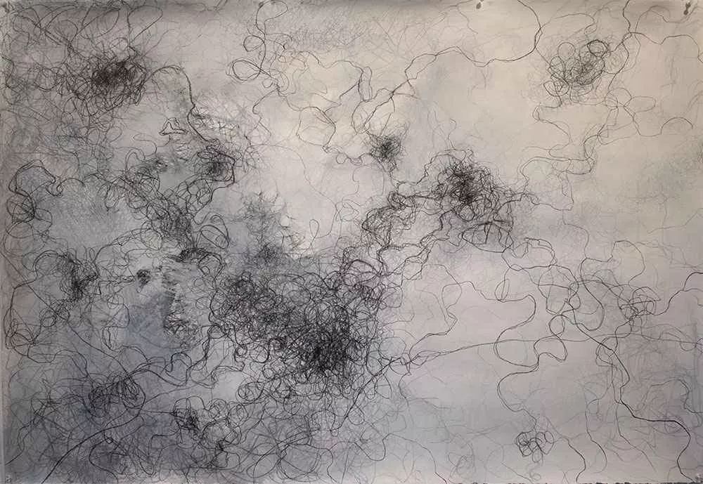 Hope in the Mess, charcoal, 30.2” x 43.8” by Tania Dibbs
