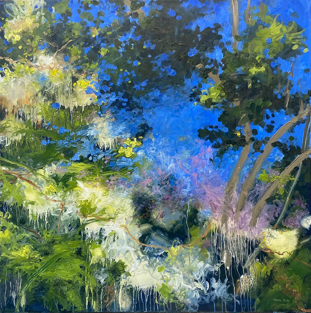Hope Springs, 40″ x 40″ oil on canvas by Tania Dibbs