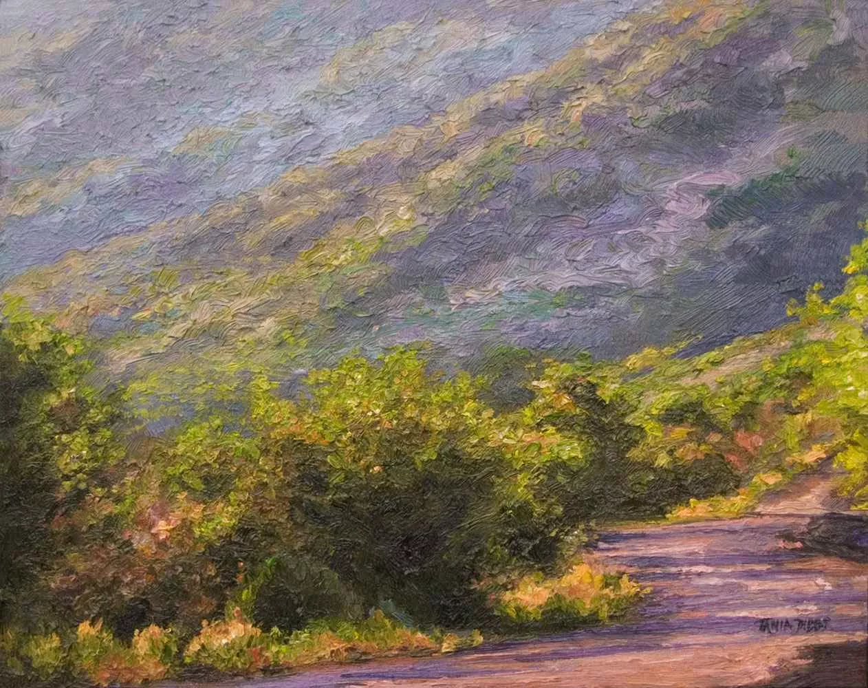 Late Light, 11″ x 14″, oil by Tania Dibbs
