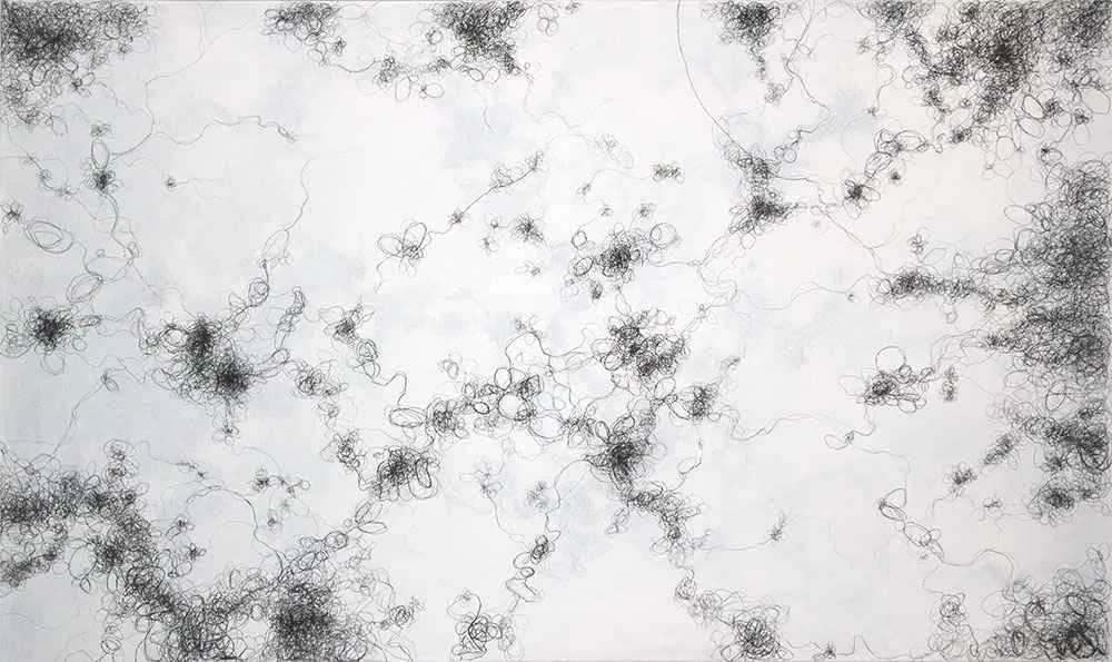 Meander, 36″ x 60″ charcoal and pencil on paper by Tania Dibbs