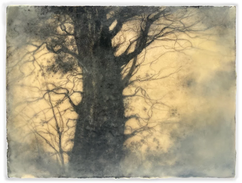 Memory, 9″ x 12″ mixed media encaustic by Tania Dibbs