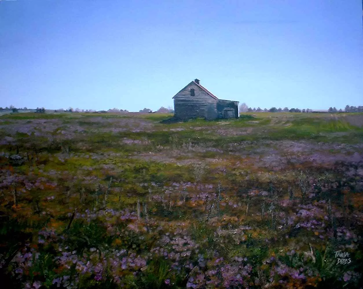 Mid Country, 24″ x 30″, oil by Tania Dibbs