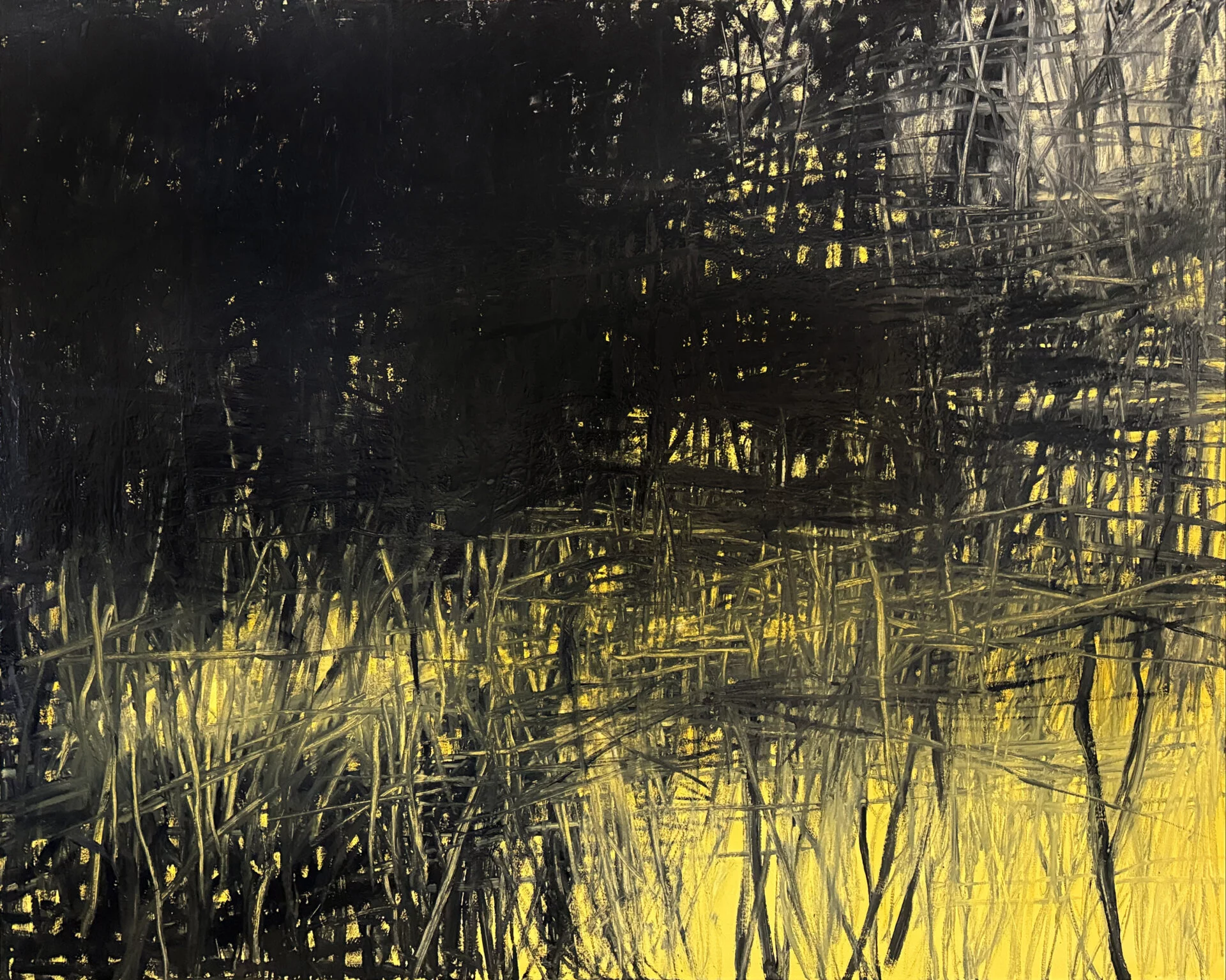 Primal Order, 48″ x 60″ oil on canvas by Tania Dibbs