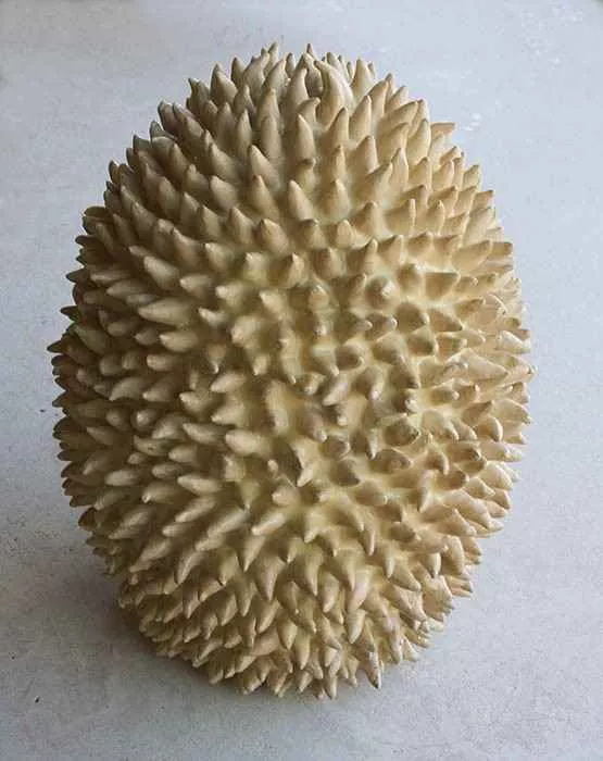 Spiked Spore, 18.5″ x 10.5″, stoneware by Tania Dibbs