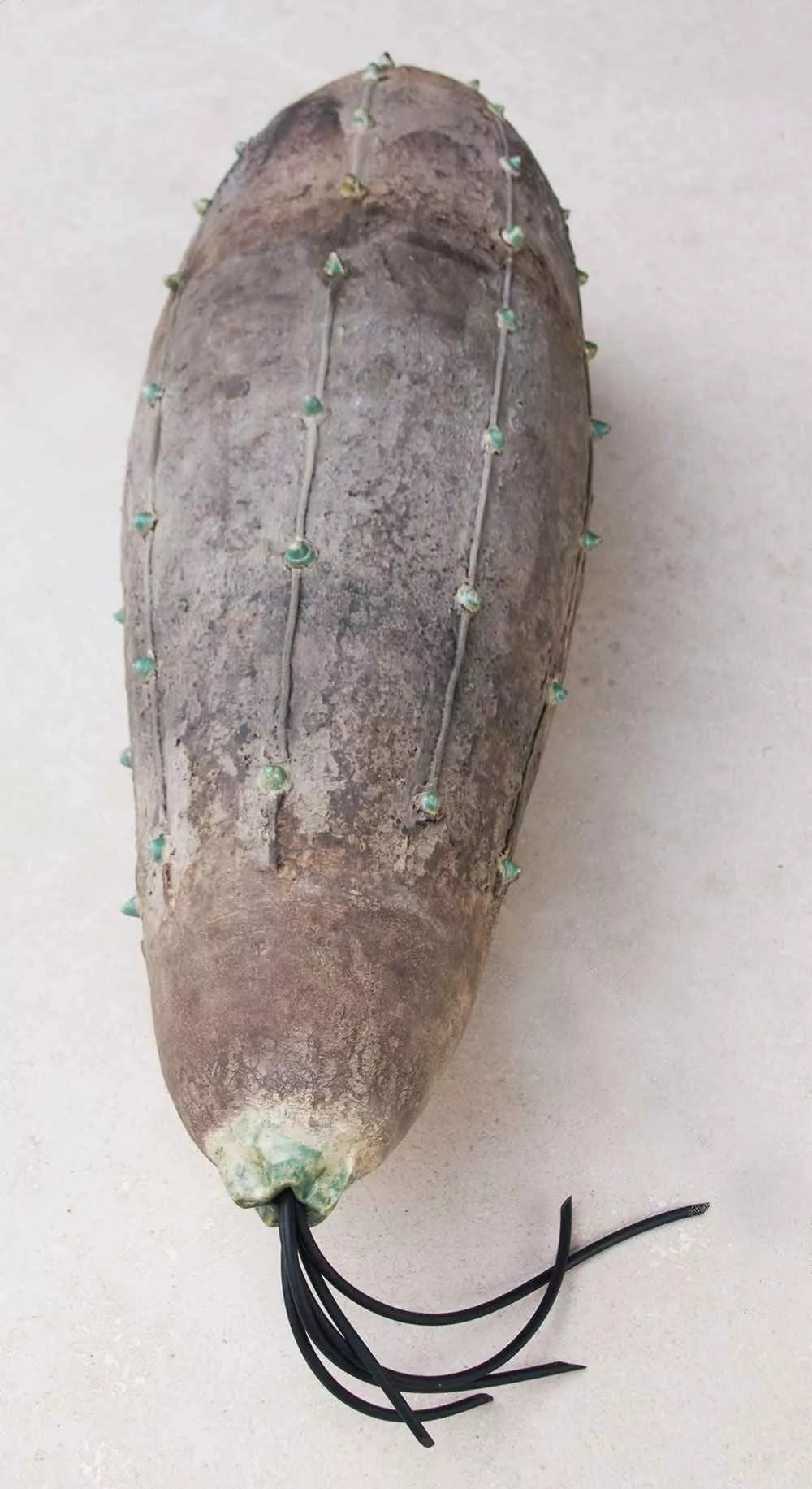 Spike Pod, 54″ x 13.5″, stoneware, resin by Tania Dibbs