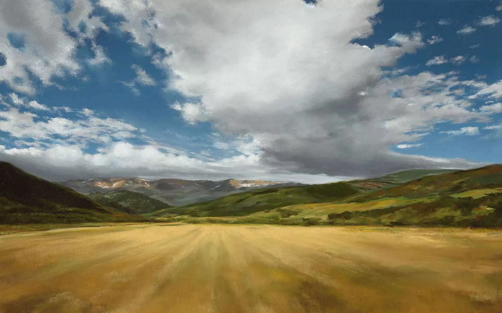 Summer 95 (McBride’s Field), 20″ x 32″, oil by Tania Dibbs