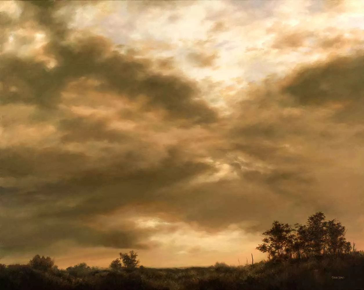 Terra Sky, 20″ x 24″, oil by Tania Dibbs
