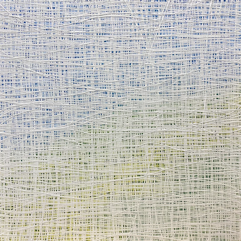 Tania Dibbs contemporary painting