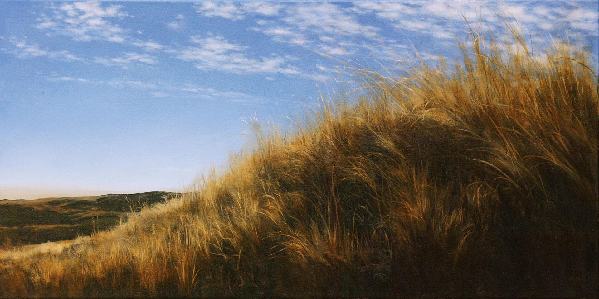 When We Sat on the Hill, 30″ x 60″, oil by Tania Dibbs